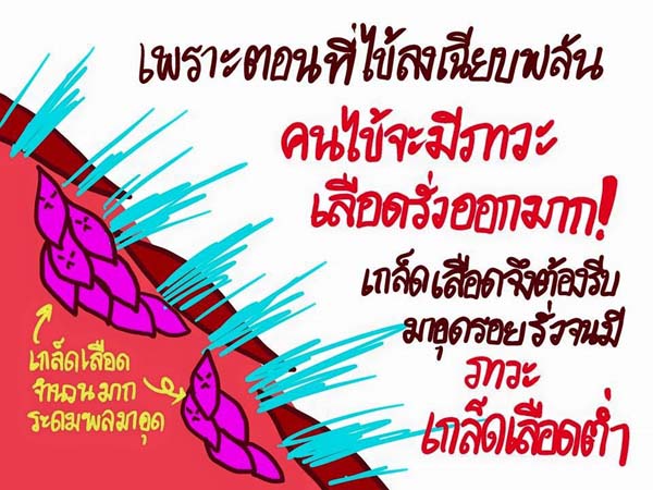 การ์ตูนโรคไข้เลือดออก