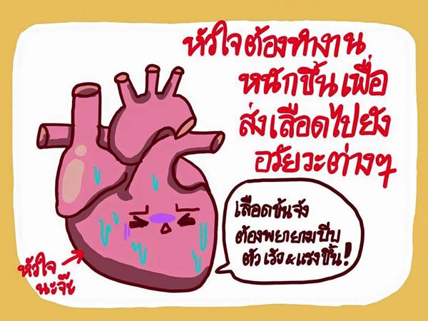 การ์ตูนโรคไข้เลือดออก