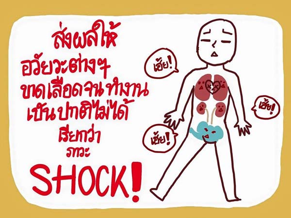 การ์ตูนโรคไข้เลือดออก