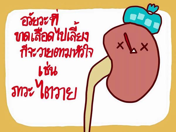 การ์ตูนโรคไข้เลือดออก