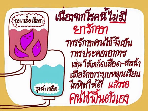 การ์ตูนโรคไข้เลือดออก