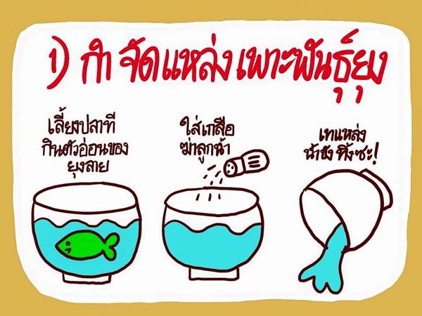 การ์ตูนโรคไข้เลือดออก