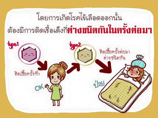 การ์ตูนโรคไข้เลือดออก