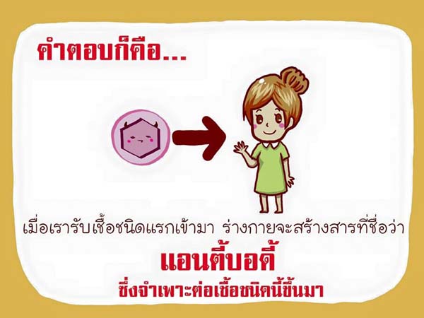 การ์ตูนโรคไข้เลือดออก