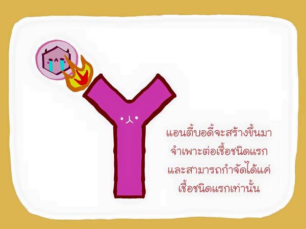 การ์ตูนโรคไข้เลือดออก