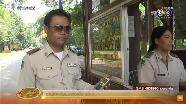 ช้างป่าเขาใหญ่