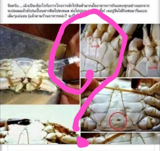 ฉีดฟอร์มาลีนใส่ปู