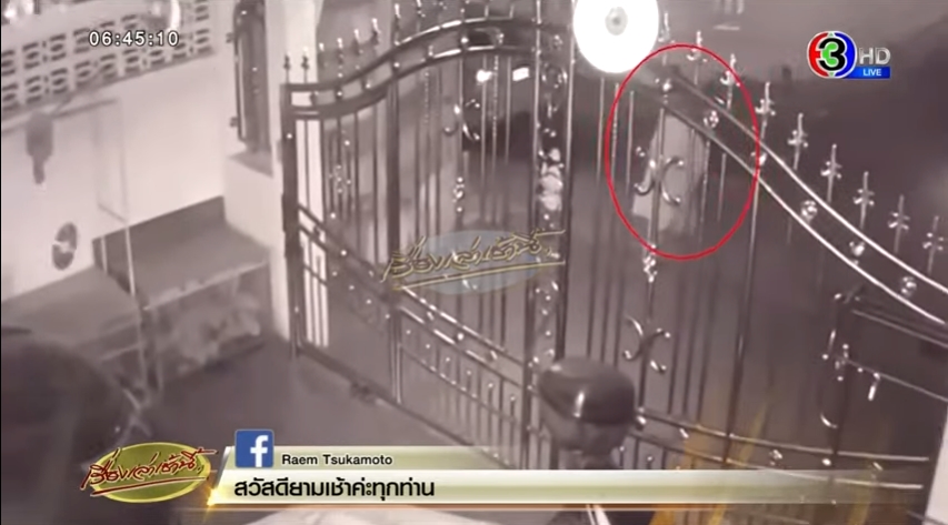 น้องวาวาพริตตี้