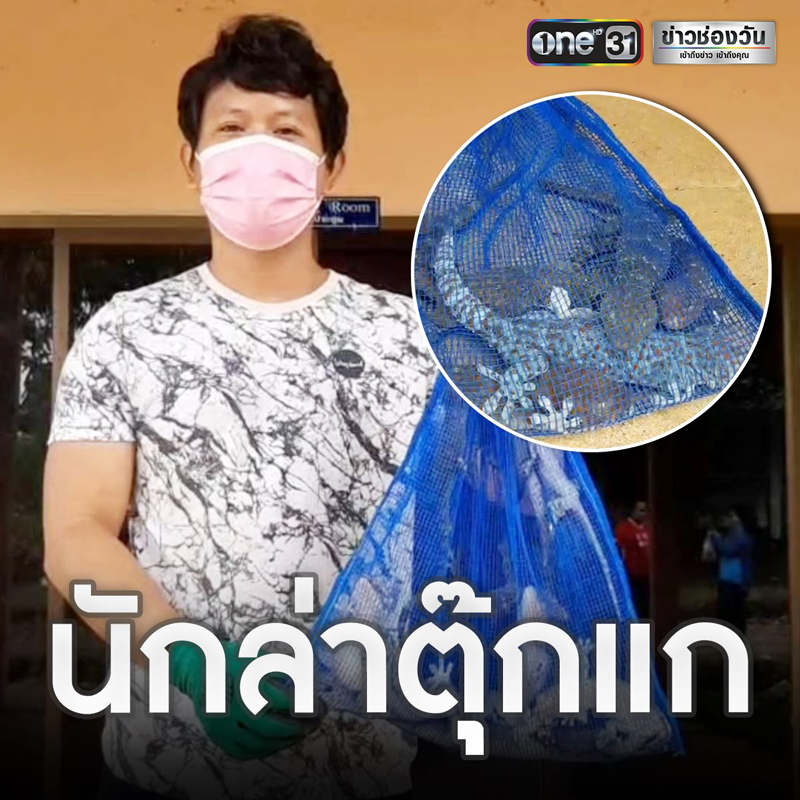 จับตุ๊กแกขาย