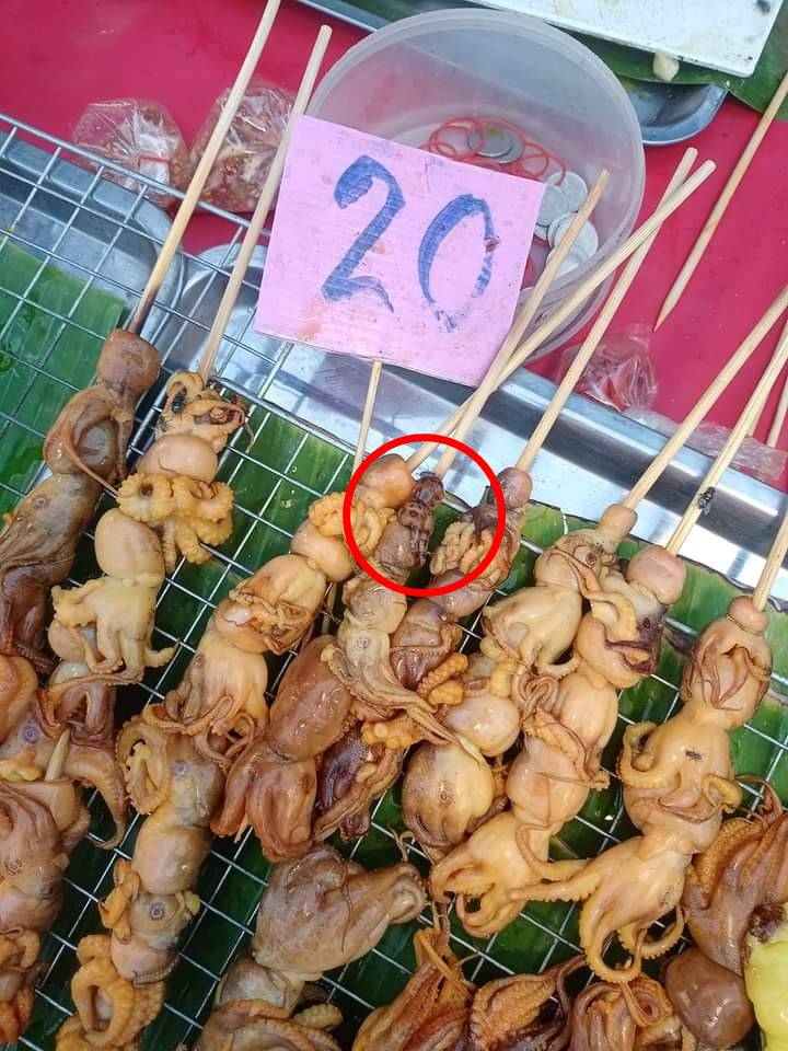 หมึกบลูริง