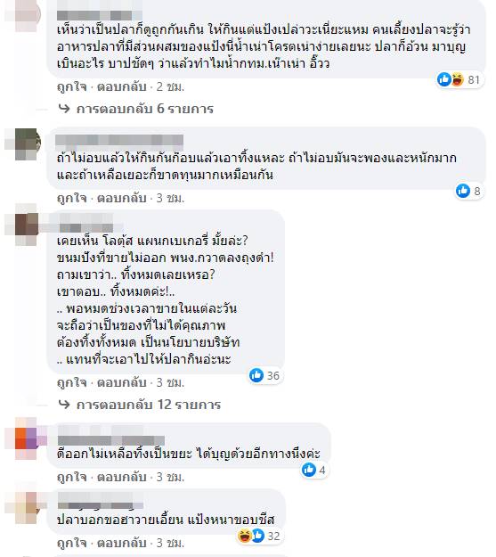 โยนพิซซ่าให้ปลากิน