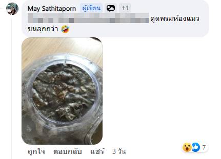 ดูดฝุ่น