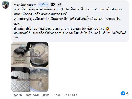 ดูดฝุ่น