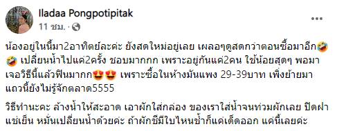 วิธียืดอายุผัก