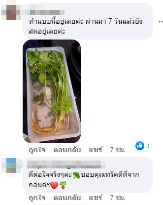 วิธียืดอายุผัก