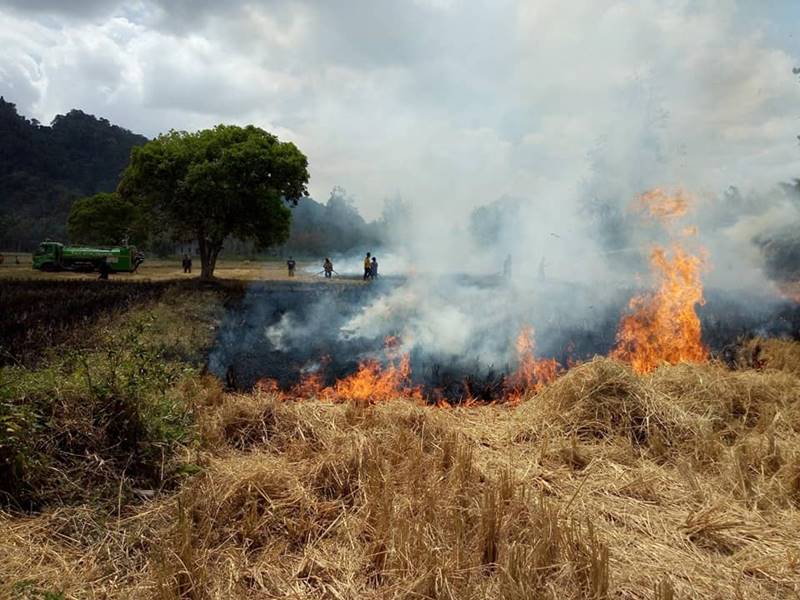 ทำไก่อบฟาง ไฟไหม้ทุ่งนา