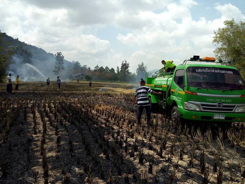 ทำไก่อบฟาง ไฟไหม้ทุ่งนา