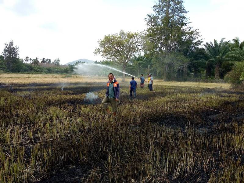 ทำไก่อบฟาง ไฟไหม้ทุ่งนา