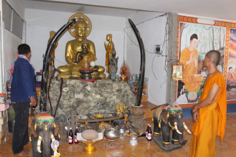 ซากสัตว์โบราณในวัด