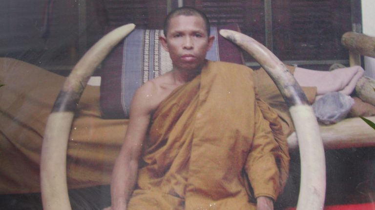 ซากสัตว์โบราณในวัด