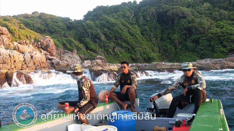 หอยเม่นหมวกกันน็อก