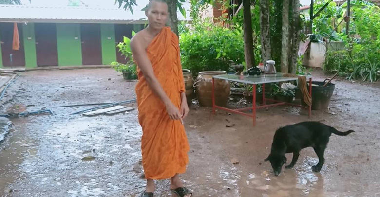 จระเข้หลุด