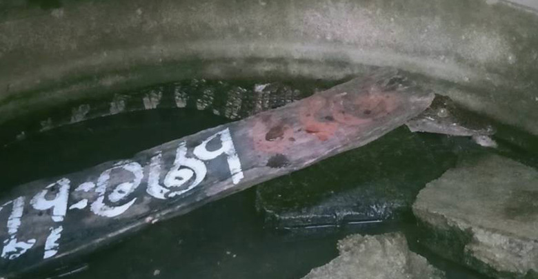 จระเข้หลุด