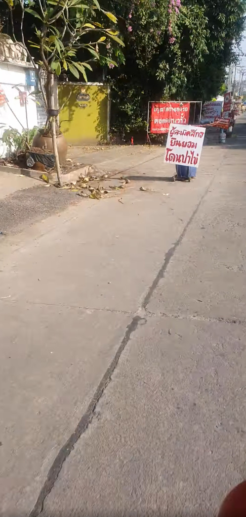 ป้าปาไข่