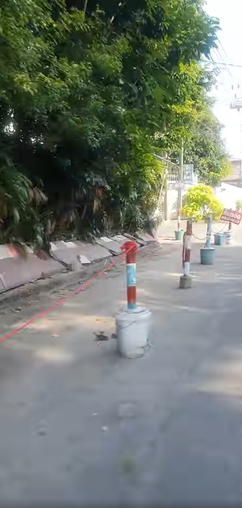 ป้าปาไข่