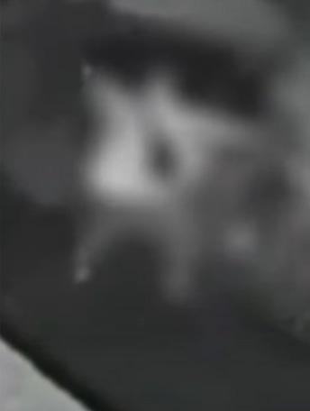 คู่รักมีเซ็กส์ในรถ