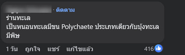 สัตว์ปริศนา ริมหาดกระบี่