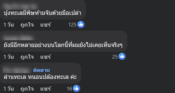 สัตว์ปริศนา ริมหาดกระบี่