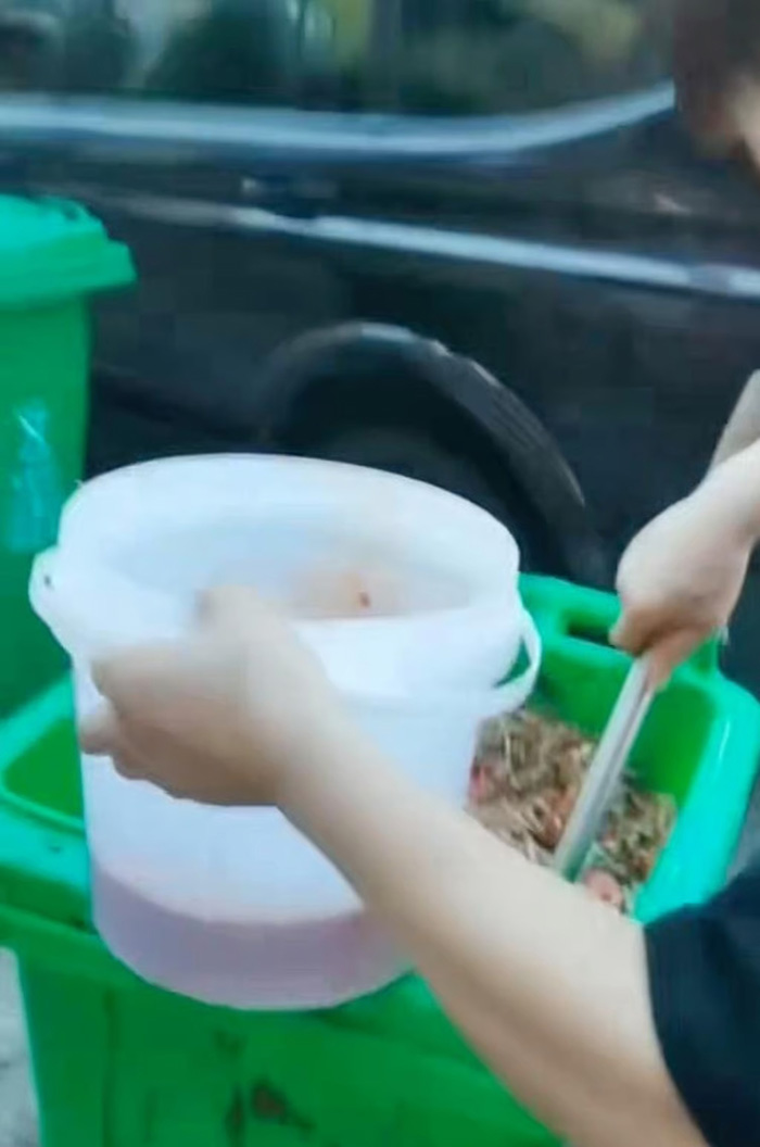 พนักงานร้านอาหาร ตักน้ำมันใช้แล้วจากถังขยะ