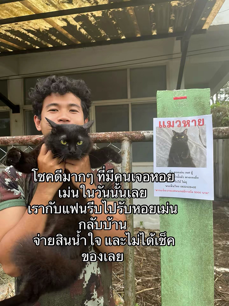 แมวหายจากบ้าน ผ่านไปวันเดียวได้แฝด 3 ตัว