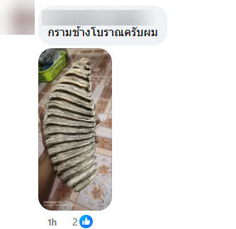 หนุ่มเจอกระดูกปริศนาที่น้ำตก เฉลยแล้วคืออะไร