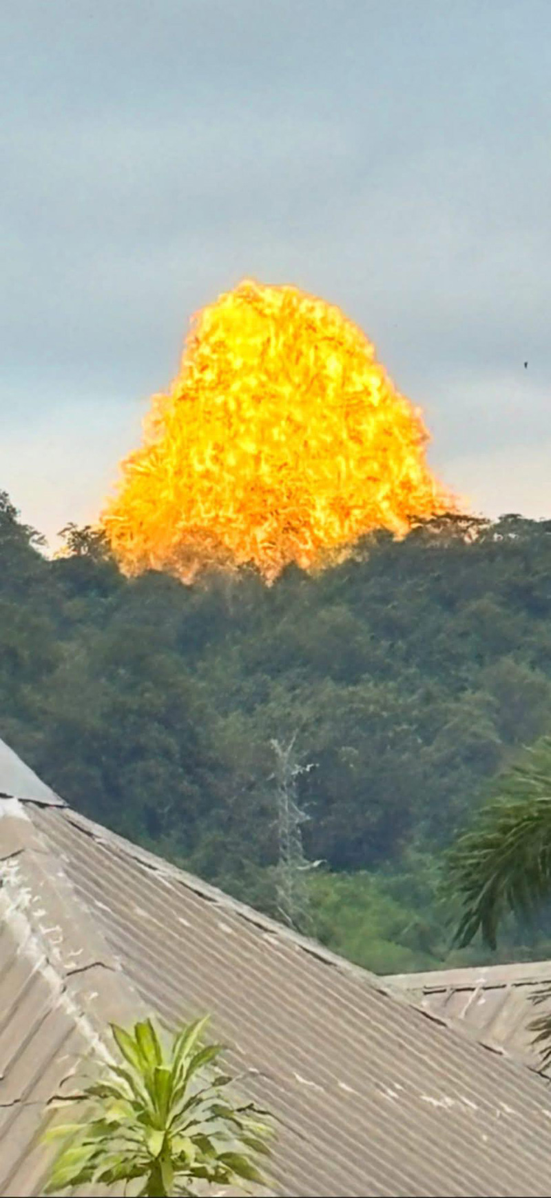 ไวรัล ภูเขาสีทอง ที่ทองผาภูมิ