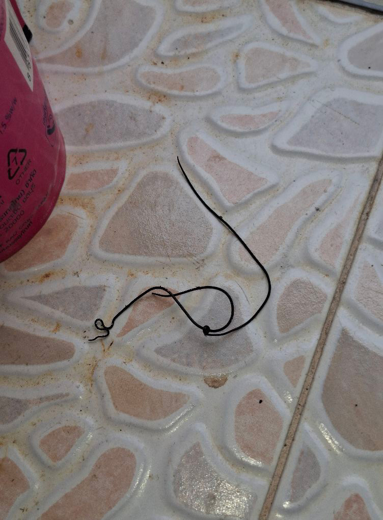 ตัวปริศนา จากตั๊กแตน