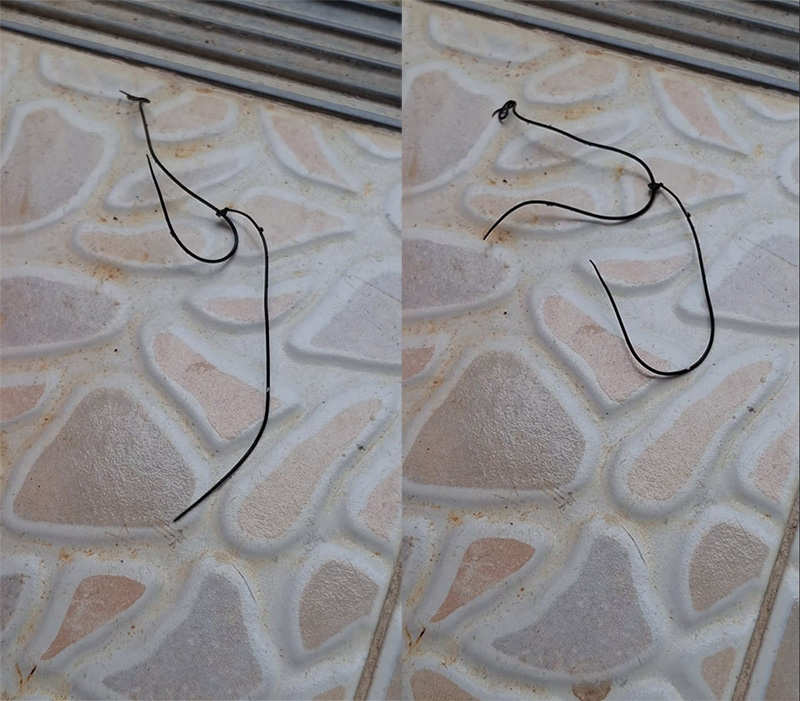 ตัวปริศนา จากตั๊กแตน