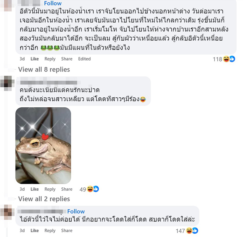 เขียดตะปาด