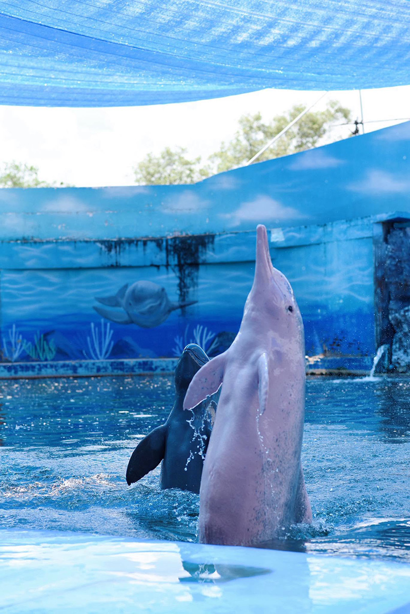 Oasis Sea World