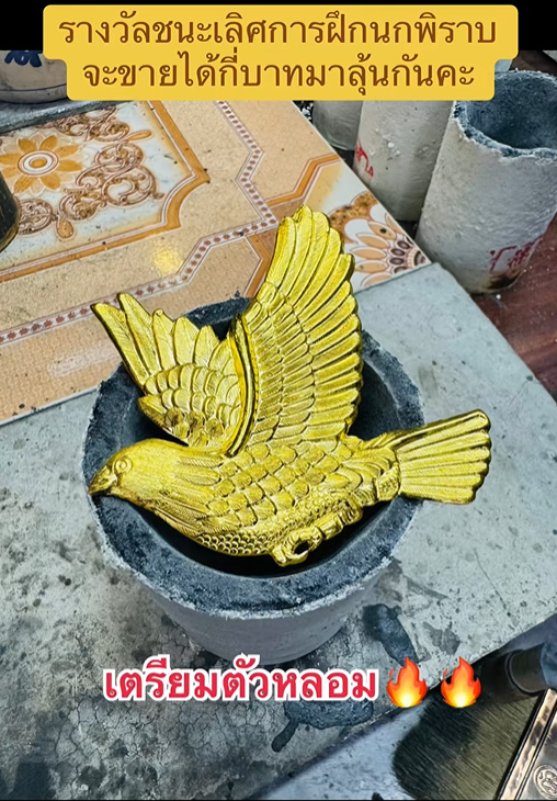 พิราบทองคำ พิราบทองคำ