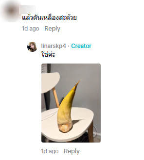 ตม. สนามบิน
