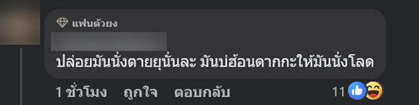 งอนกลางสี่แยก