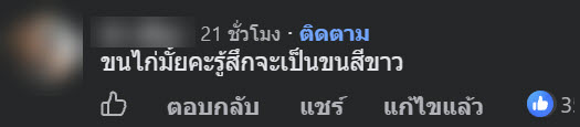 เลือดไก่