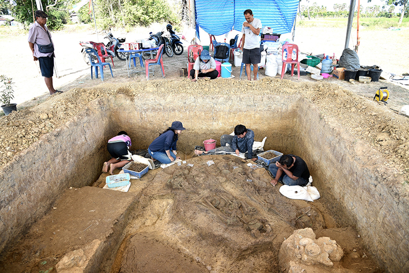 โครงกระดูกมนุษย์โบราณ