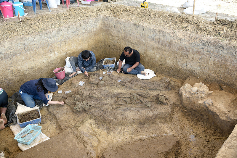 โครงกระดูกมนุษย์โบราณ