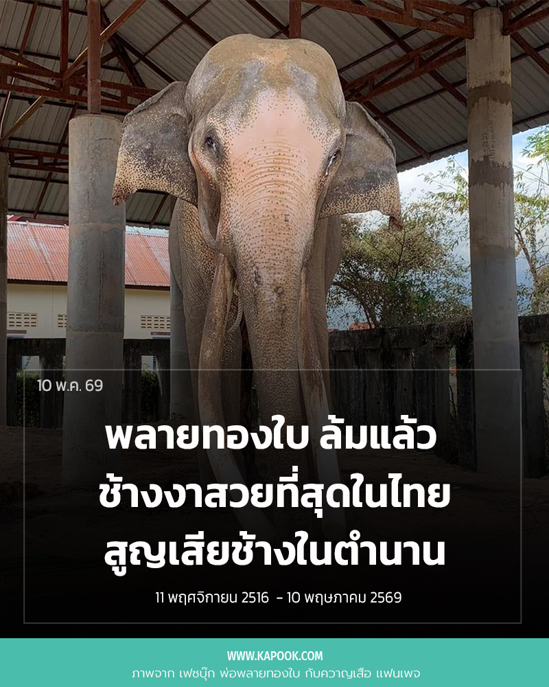 พลายทองใบ
