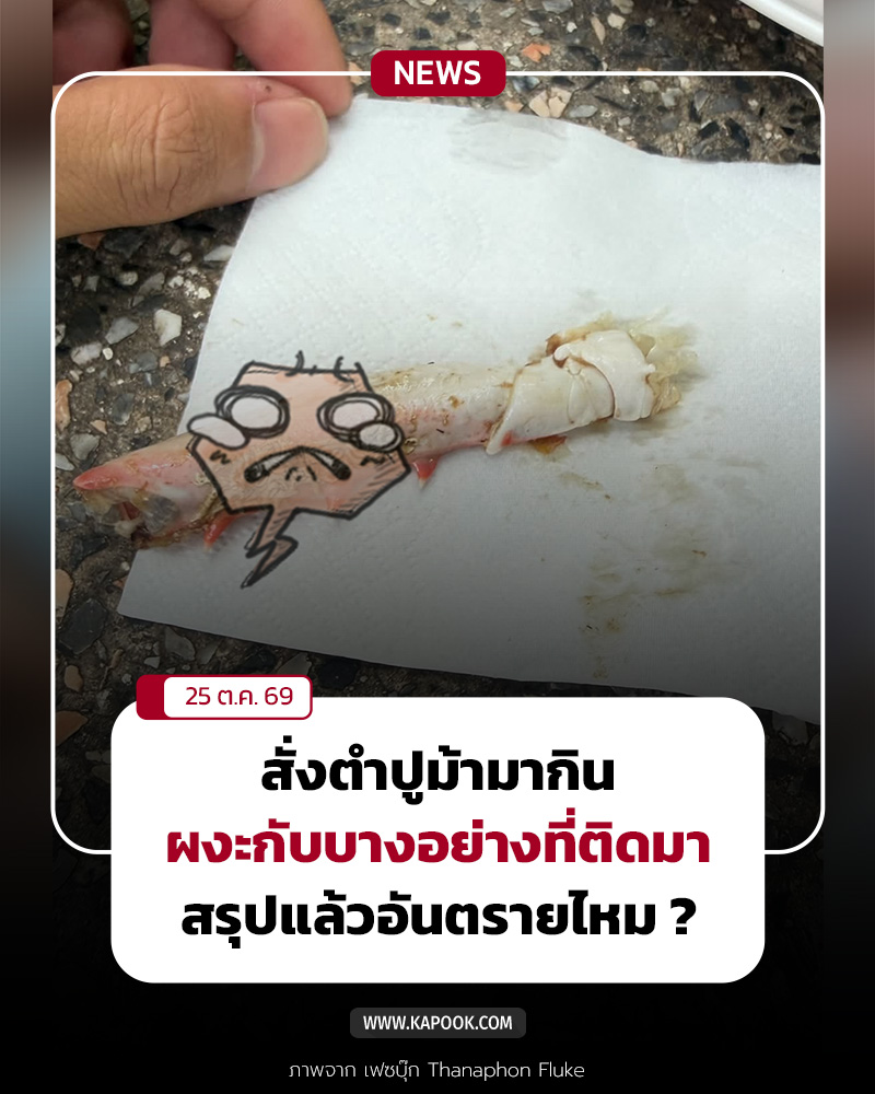 ปูม้า ปูม้า