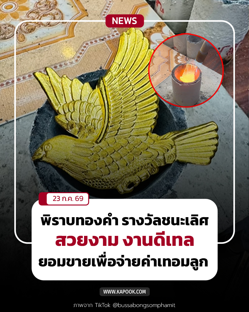 พิราบทองคำ พิราบทองคำ