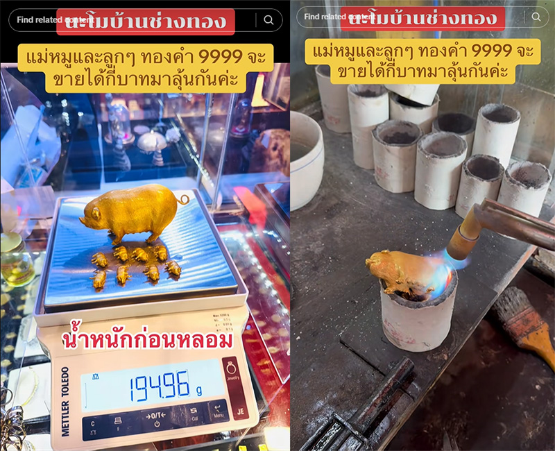 หมูทองคำ